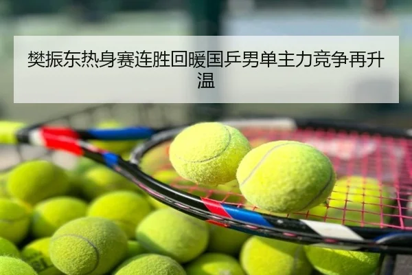 樊振东热身赛连胜回暖国乒男单主力竞争再升温